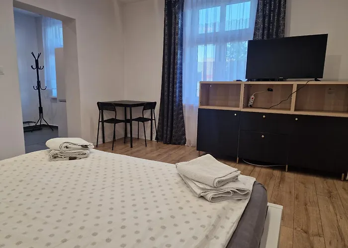 Apartamenty W Pelni Wyposazone W Centrum Miasta