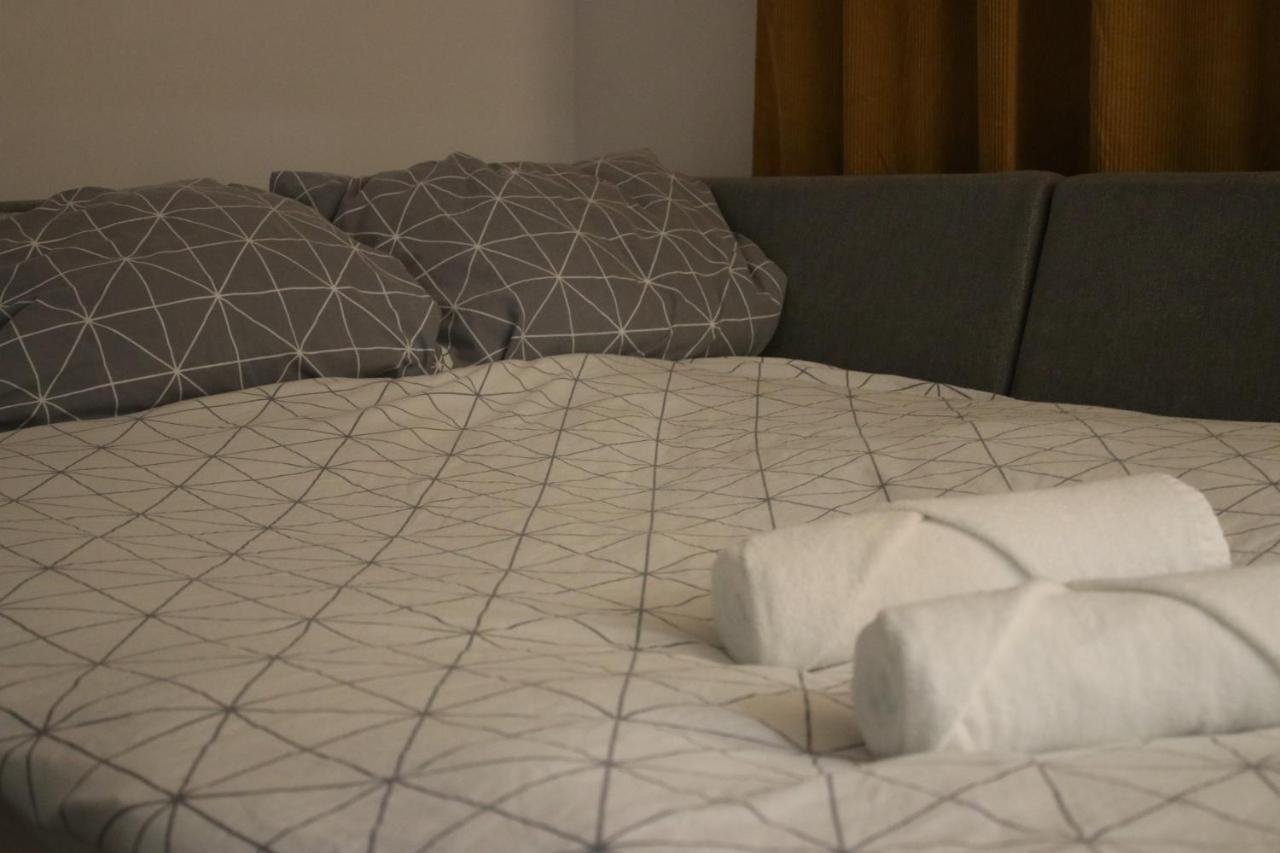 W Pelni Wyposazone W Centrum Miasta Apartment